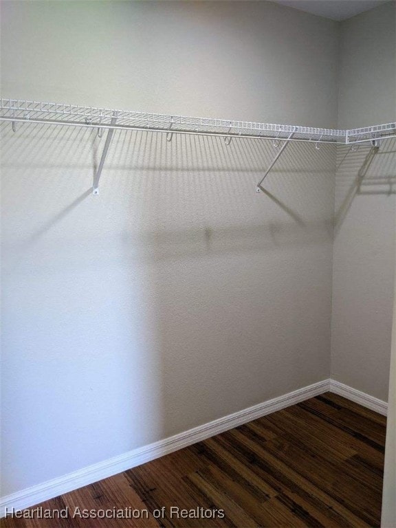walk in closet featuring dark wood finished floors