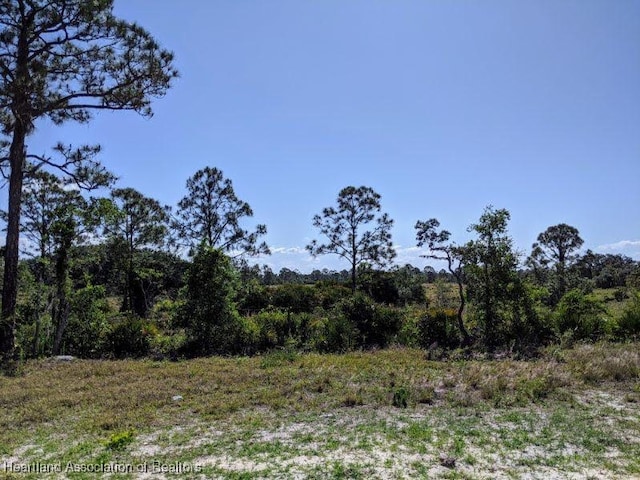view of nature