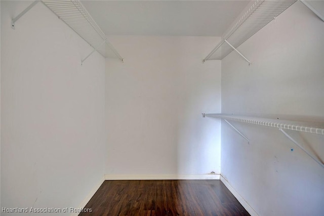 walk in closet featuring hardwood / wood-style floors