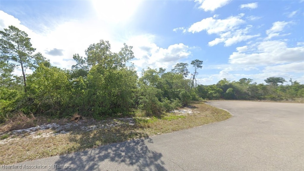 216 Figi Way NE, Lake Placid, FL 33852 - photo 3