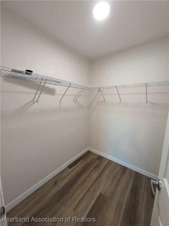 spacious closet with dark hardwood / wood-style floors