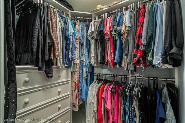 walk in closet featuring carpet