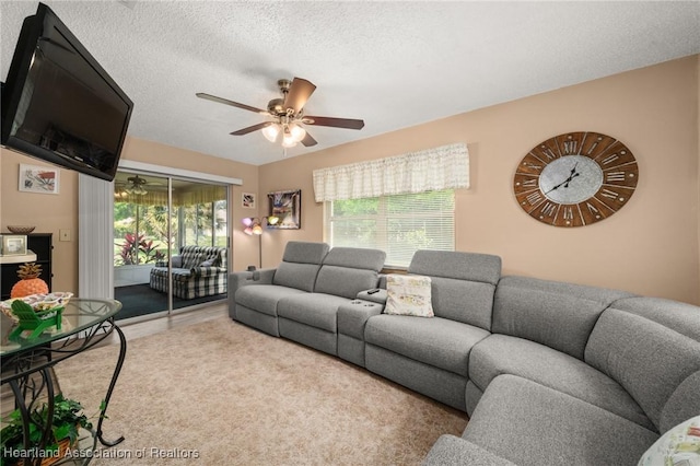 122 Parkview Cir, Lake Placid, FL 33852 - photo 14