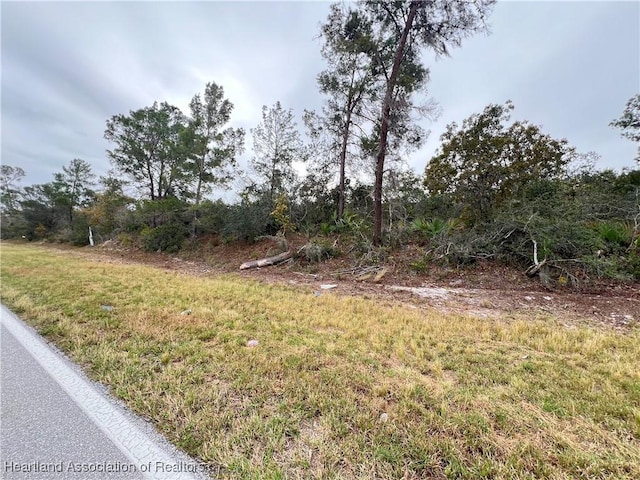 Listing photo 3 for 971 County Road 29th Hwy, Lake Placid FL 33852