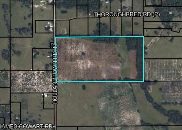 0 Hollandtown Rd, Wauchula, FL 33873