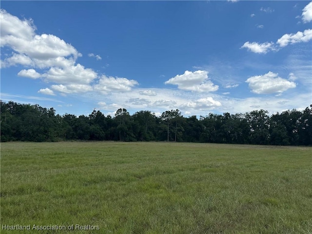 0 Hollandtown Rd, Wauchula, FL 33873