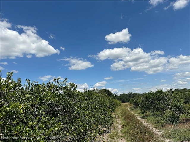 0 Hollandtown Rd, Wauchula, FL 33873