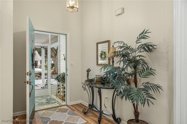 entrance foyer featuring light hardwood / wood-style flooring