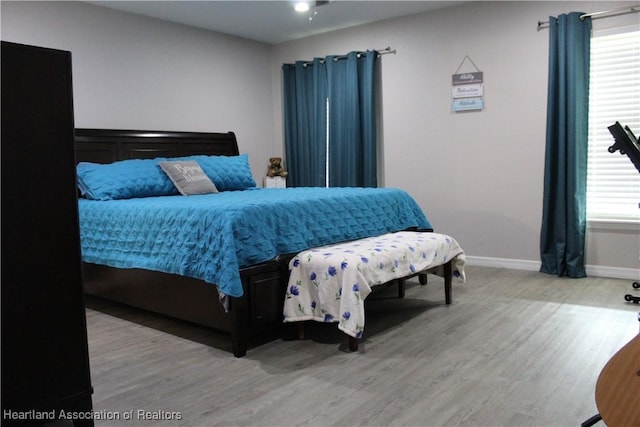 5195 Greenfields Run, Zolfo Springs, FL 33890 - bedroom with wood finished floors and multiple windows