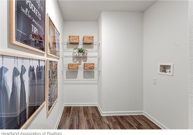 washroom with washer hookup and dark hardwood / wood-style floors