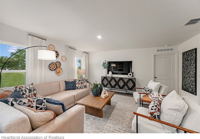 living room with a textured ceiling