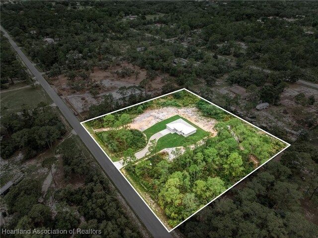9131 Canter Path, Sebring, FL 33875 - view of property location featuring property boundaries highlighted and a forest