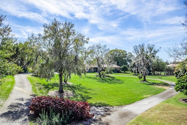 surrounding community featuring a yard