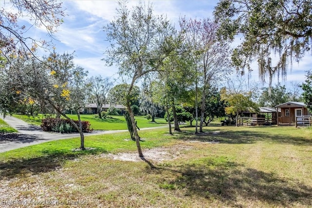 view of yard