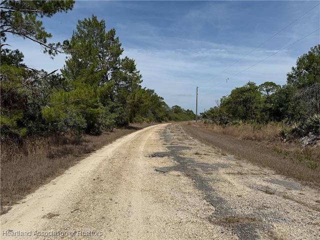 3125 Tremont Ave, Lake Placid, FL 33852 - photo 4
