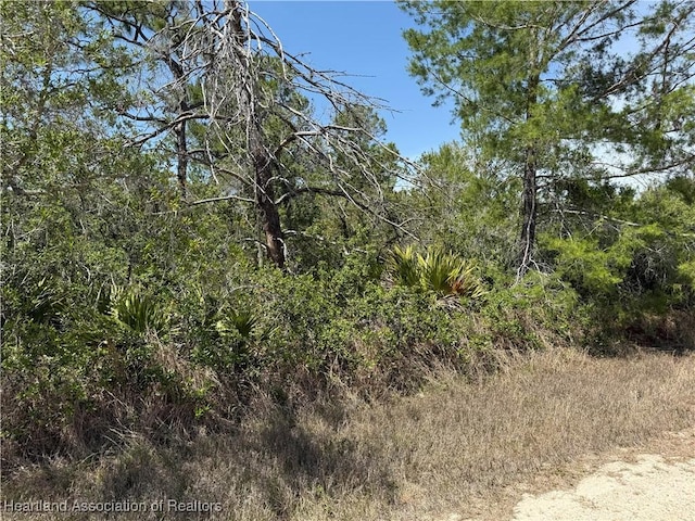 3125 Tremont Ave, Lake Placid, FL 33852 - photo 2