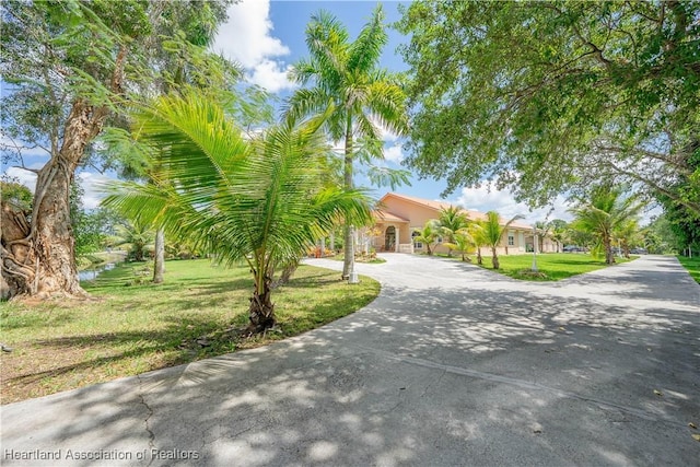 14630 Luray Rd, Southwest Ranches, FL 33330 - view of front of home featuring curved driveway, a front lawn, and stucco siding