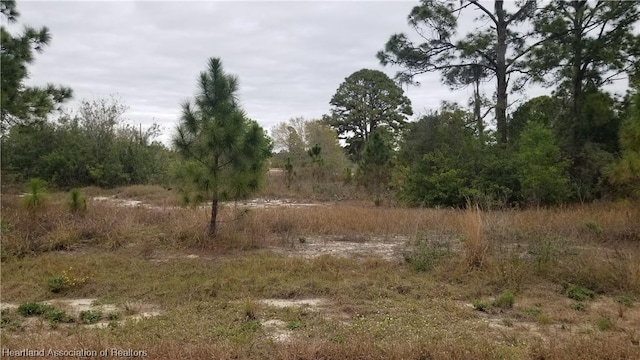 276 Summertime Ave, Lake Placid FL, 33852 land for sale