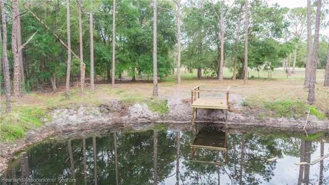 view of dock