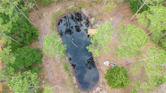 aerial view of a large body of water