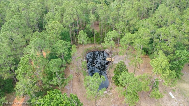 drone / aerial view of a forest
