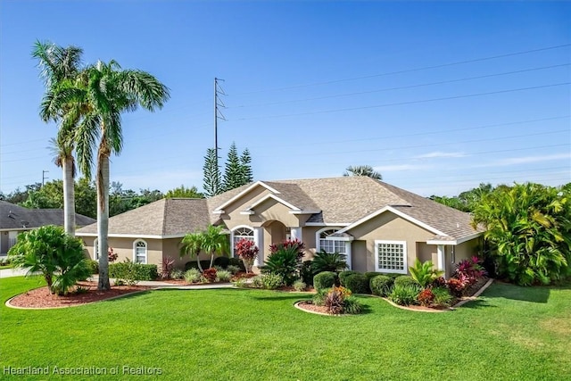 ranch-style house with a front yard