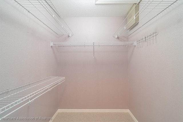 spacious closet with carpet floors