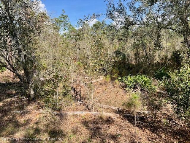 1849 S Griese Rd, Avon Park FL, 33825 land for sale