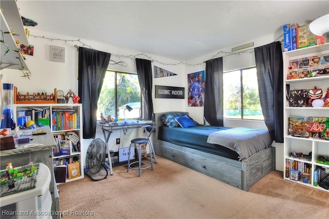 119 Mini Rd, Sebring, FL 33870 - view of carpeted bedroom