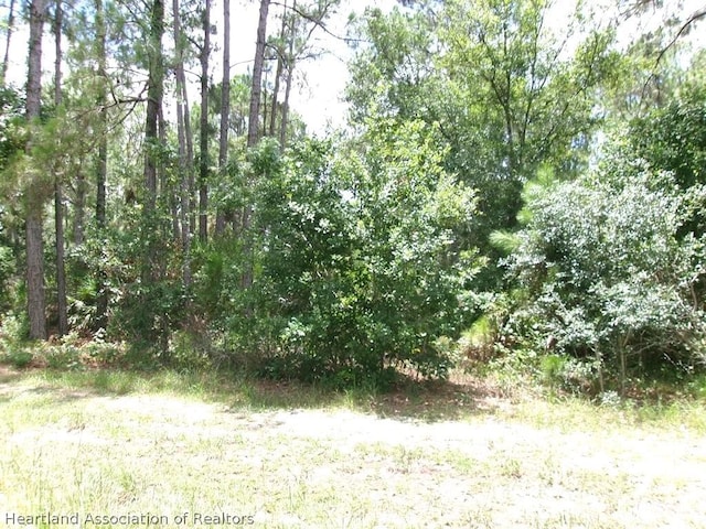 1810 S Griese Rd, Avon Park FL, 33825 land for sale