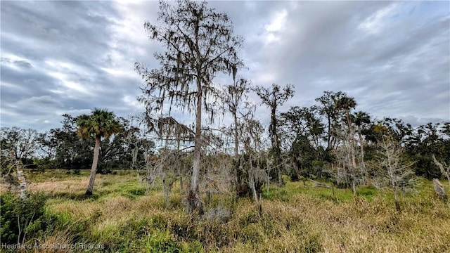 Listing photo 3 for Parnell Rd, Zolfo Springs FL 33890