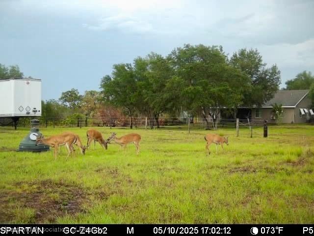 600 Detjens Dairy Rd, Venus, FL 33960 - photo 31