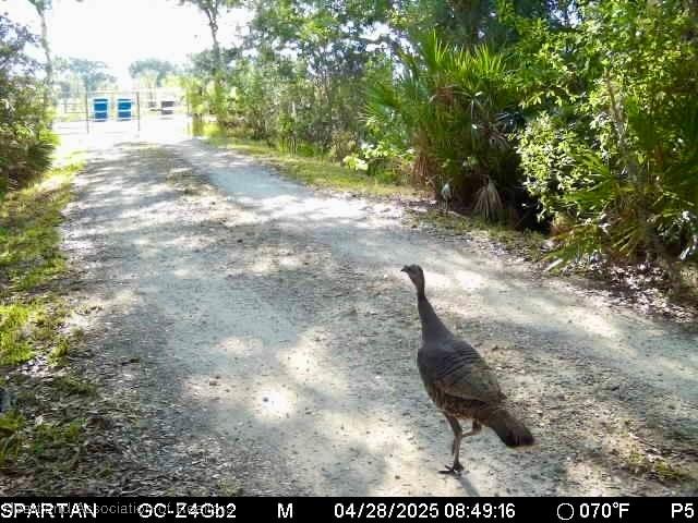 600 Detjens Dairy Rd, Venus, FL 33960 - photo 32