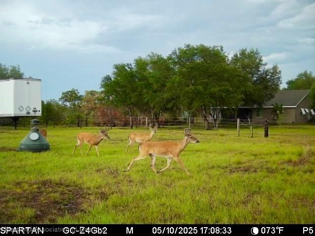 600 Detjens Dairy Rd, Venus, FL 33960 - photo 33