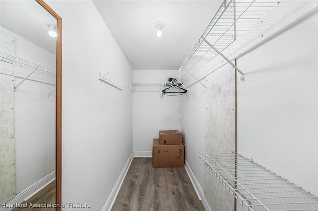 walk in closet with wood-type flooring