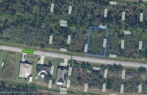 7950 Ancha St, Sebring, FL 33872
