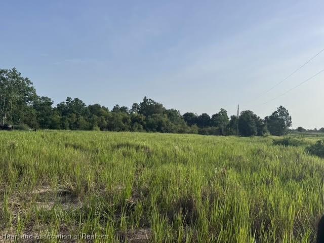 7710 N Lake Buffum Rd, Ft Meade, FL 33841 - photo 7