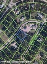 110 Ellison Ave, Lake Placid, FL 33852