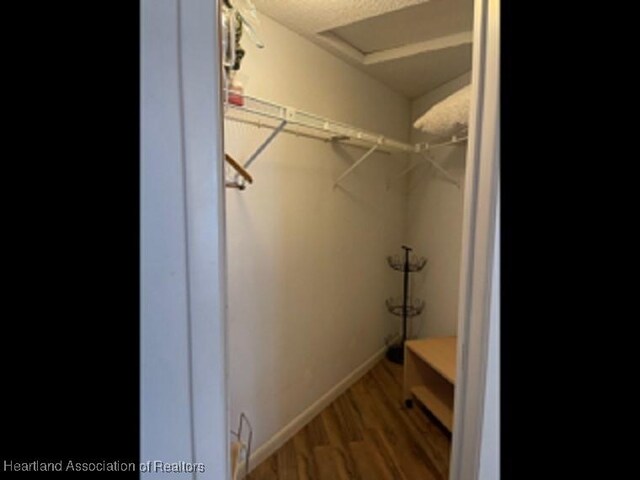 walk in closet with hardwood / wood-style flooring