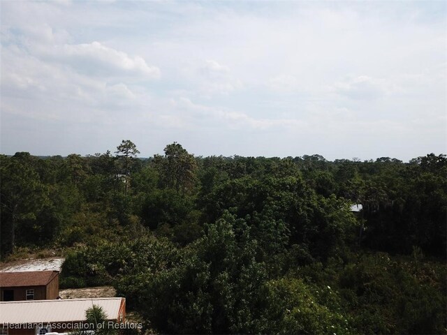 465 Allison Dr, Venus, FL 33960 - photo 13