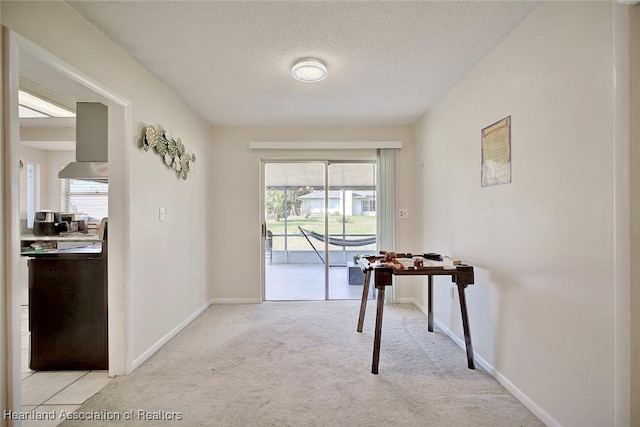 interior space with a textured ceiling, light colored carpet, and a wealth of natural light