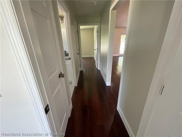 corridor featuring dark hardwood / wood-style flooring