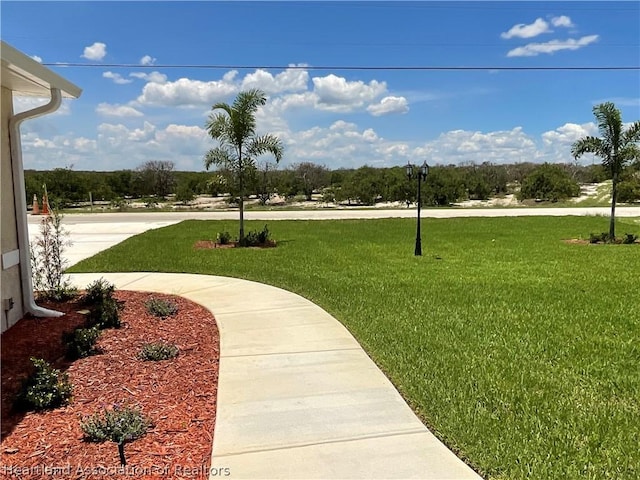 view of community featuring a lawn