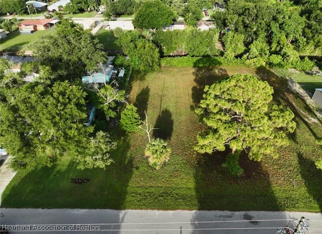 1708 Buck St, Lake Placid, FL 33852 - photo 8