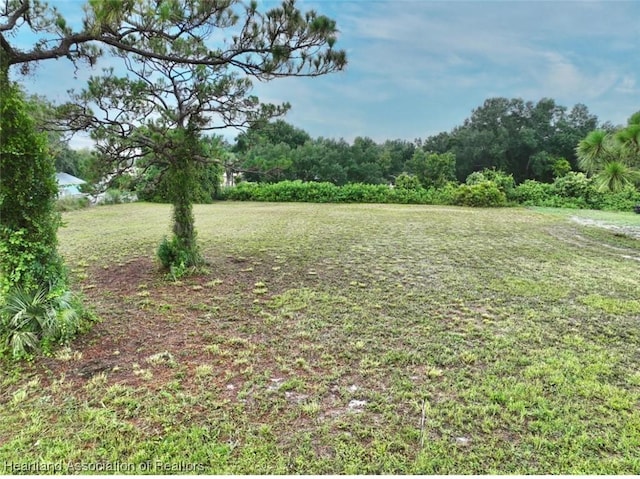 1708 Buck St, Lake Placid, FL 33852 - photo 10