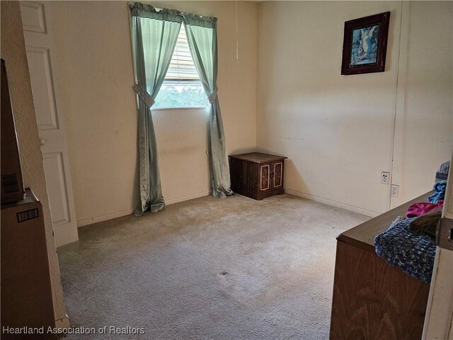 unfurnished room with light carpet