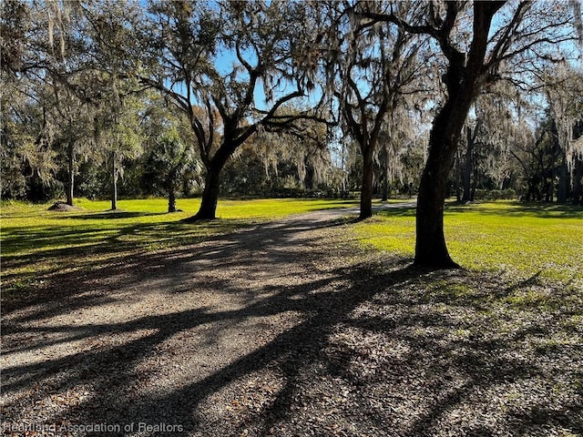 584 Cross Ln, Wauchula, FL 33873 - photo 31