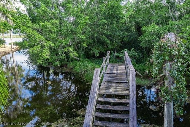 dock area with a water view