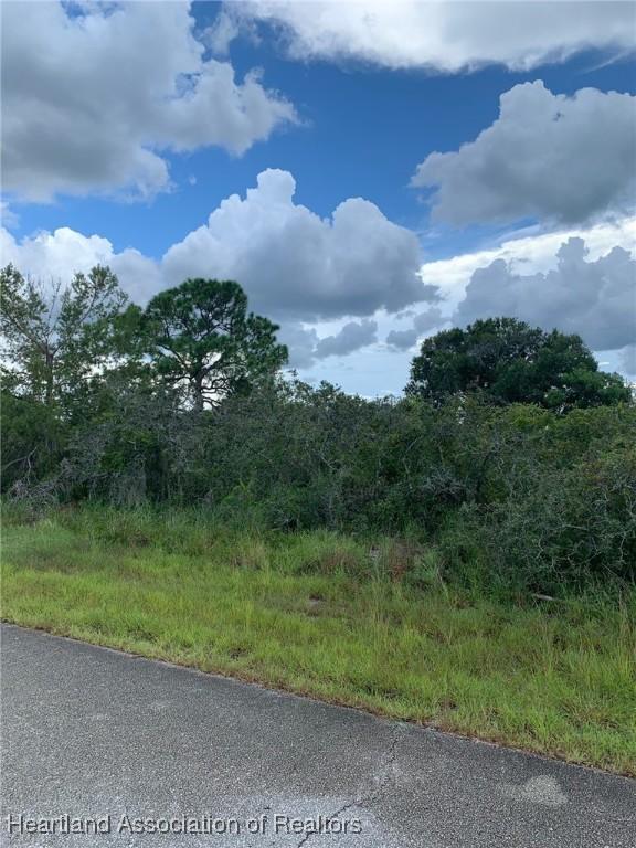 443 Detroit Rd, Lake Placid FL, 33852 land for sale