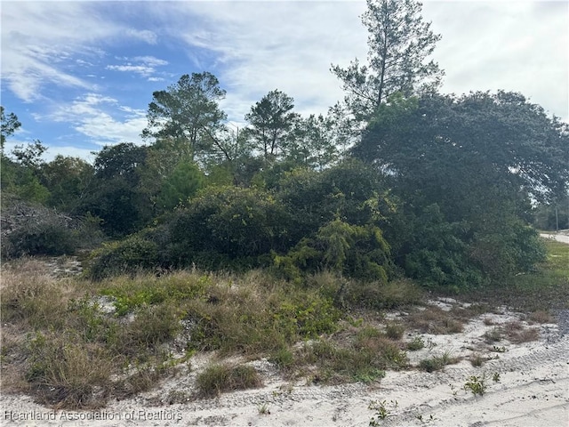 451 Harmon Ave, Lake Placid FL, 33852 land for sale